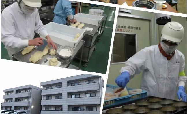 日本2020年8月新單匯總！